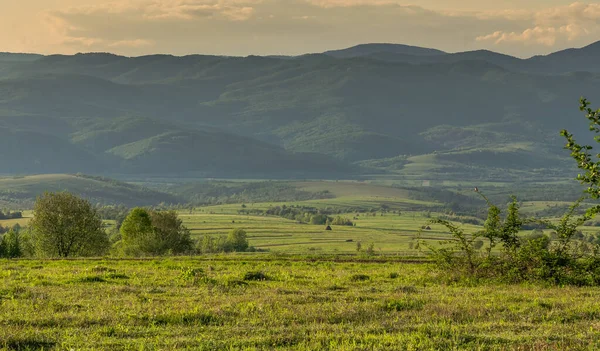 Весна Карпатах — стокове фото