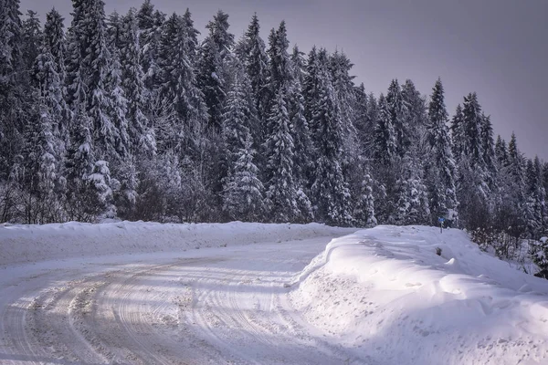 Invierno Los Cárpatos — Foto de Stock