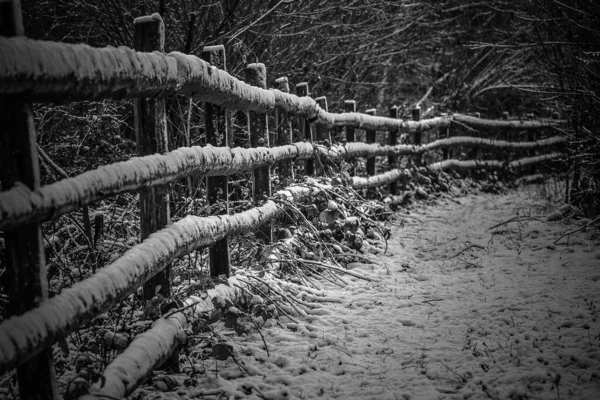 Inverno Nos Cárpatos — Fotografia de Stock