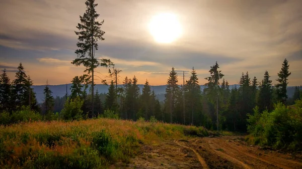 Sommer Den Karpaten — Stockfoto