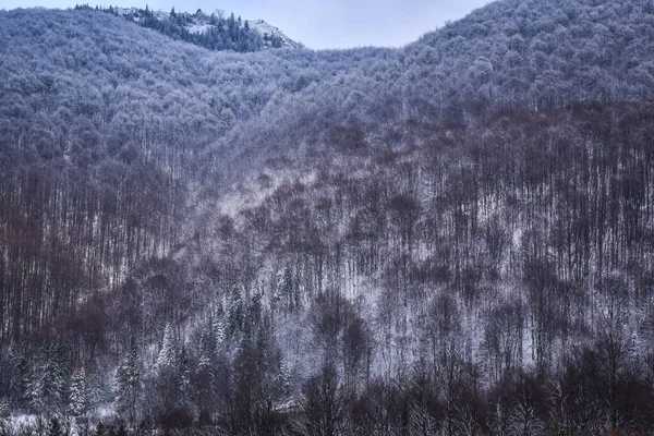 Güz Karpatları 'nın Manzaraları