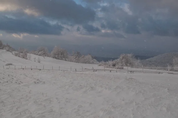 Invierno Los Cárpatos — Foto de Stock