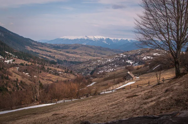 Primăvara Carpaţi — Fotografie, imagine de stoc