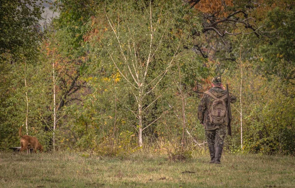 Automne Dans Campagne Des Carpates — Photo