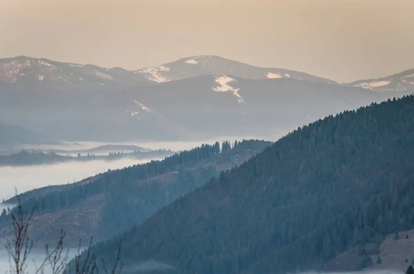 Frühling Den Karpaten — kostenloses Stockfoto