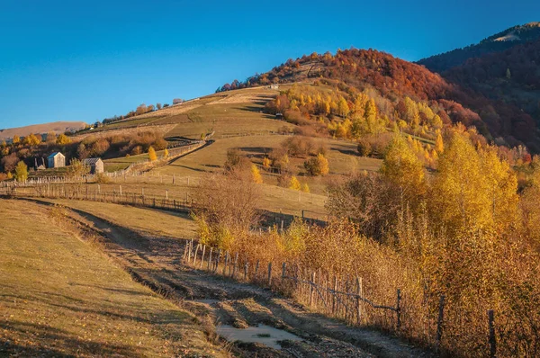 Landscapes Autumn Carpathian Mountains — Stock Photo, Image