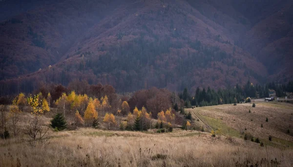 Пейзажи Осенних Карпат — стоковое фото