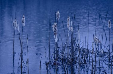 Kışın dağ gölü