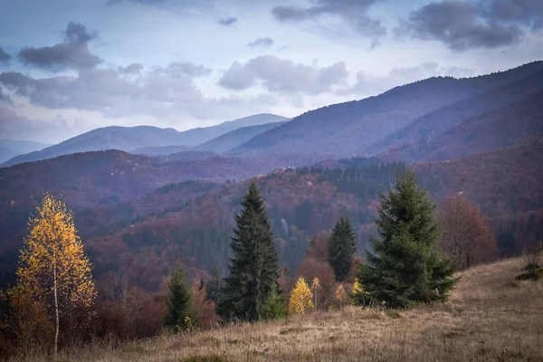 Ландшафти Осінніх Карпат — стокове фото