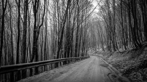 Winter in the Carpathians