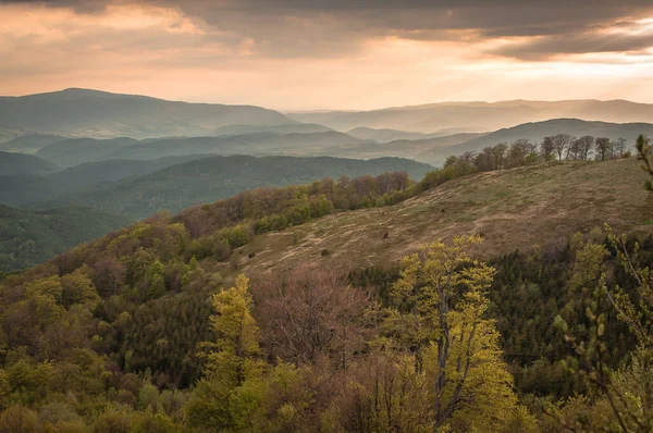 Printemps Dans Les Carpates — Photo