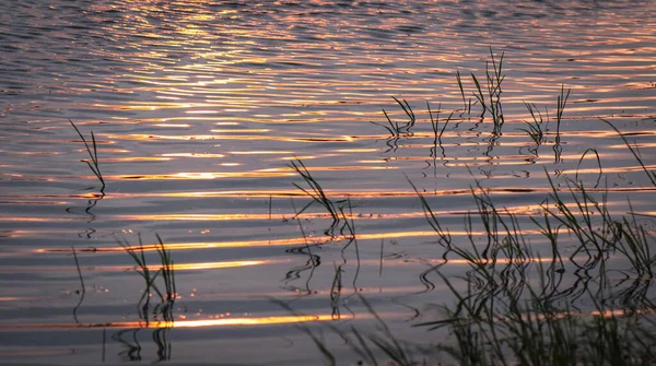 Весняне Озеро Закарпатті — стокове фото