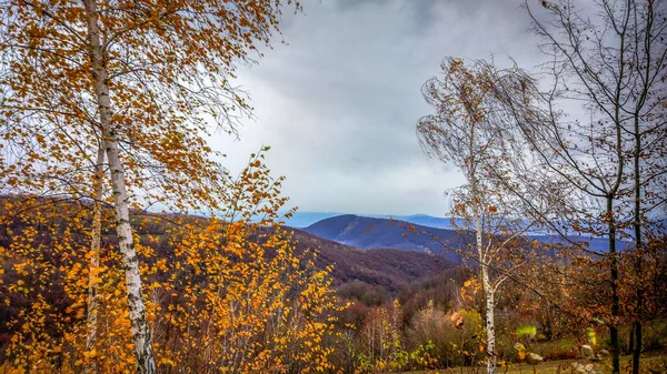 Ландшафти Осінніх Карпат — стокове фото