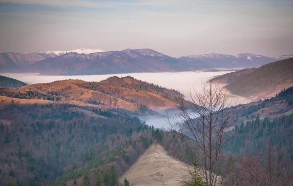 Весна Карпатах — стоковое фото