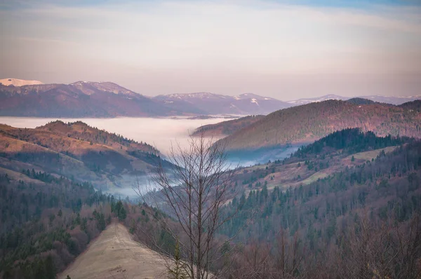 Primăvara Carpaţi — Fotografie, imagine de stoc