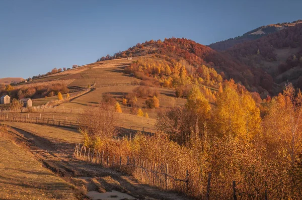 Landscapes Autumn Carpathian Mountains — Stock Photo, Image