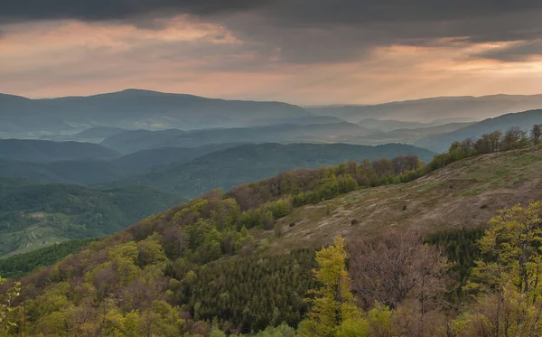 Spring in the Carpathians