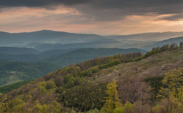 Spring in the Carpathians