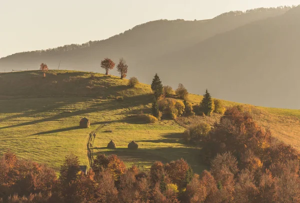 Peisaje Din Munții Carpați Toamnă — Fotografie, imagine de stoc