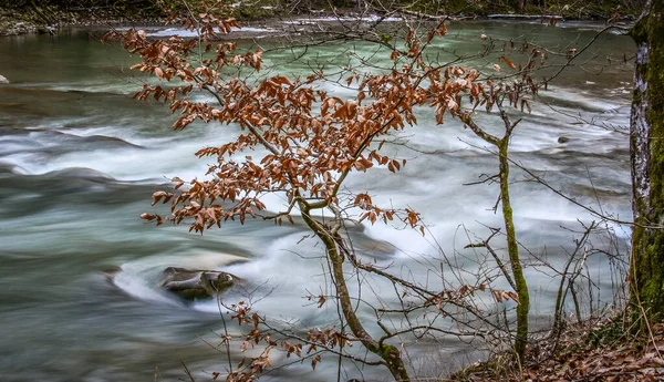 Primavera Nei Carpazi — Foto Stock