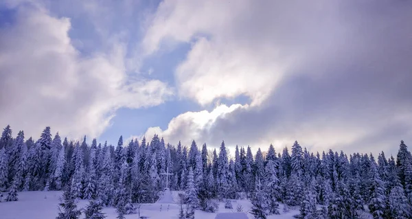 Invierno Los Cárpatos — Foto de Stock