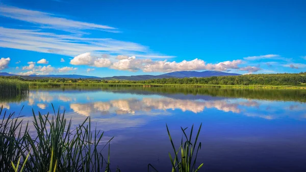Літнє Озеро Закарпатті — стокове фото