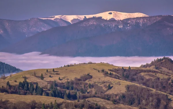 Spring Carpathians — Foto Stok Gratis