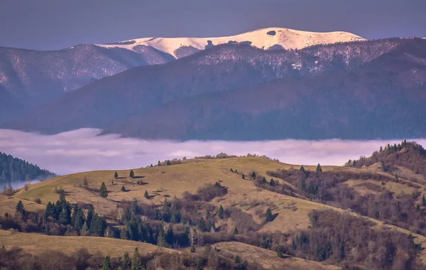 Primăvara Carpaţi — Fotografie de stoc gratuită