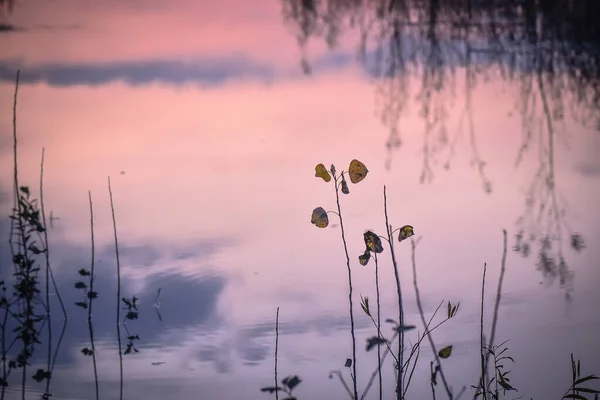 Sonbahar Karpatlar Göl Nehirlerinin Manzaraları — Stok fotoğraf