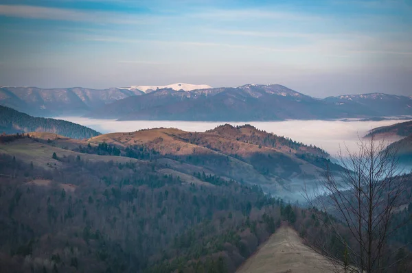 Primăvara Carpaţi — Fotografie, imagine de stoc