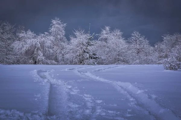 Invierno Los Cárpatos — Foto de Stock