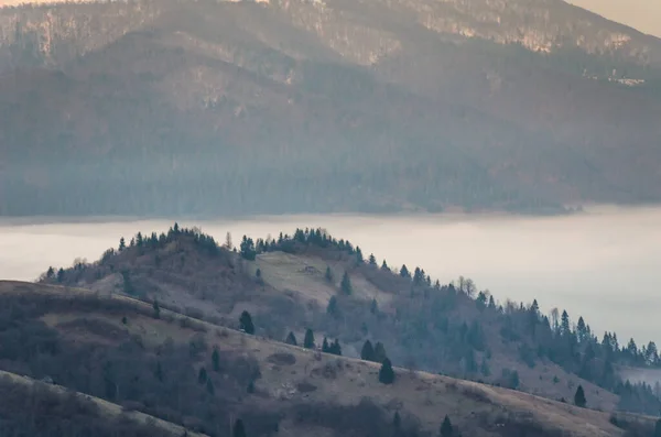 Primăvara Carpaţi — Fotografie, imagine de stoc