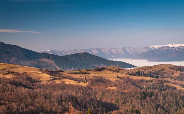 Весна Карпатах — стоковое фото