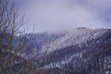 Güz Karpatları 'nın Manzaraları