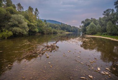 Sonbahar Karpatları Nehir Fotoğrafçılığı