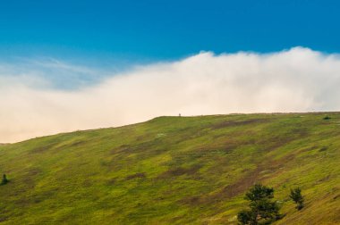 Karpatlar 'da Aşçı Dağı