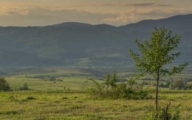 Karpatlar baharda