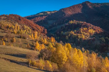 Güz Karpatları 'nın Manzaraları