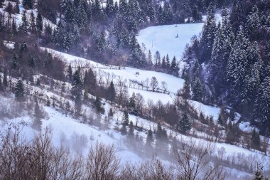 Güz Karpatları 'nın Manzaraları