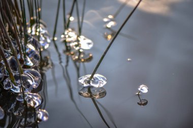 Kışın dağ gölü