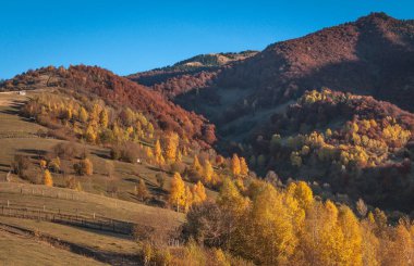 Güz Karpatları 'nın Manzaraları