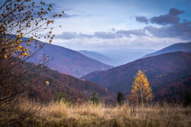 Güz Karpatları 'nın Manzaraları
