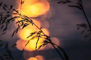 Transcarpathia 'daki Bahar Gölü