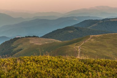 Karpatlar 'da Aşçı Dağı