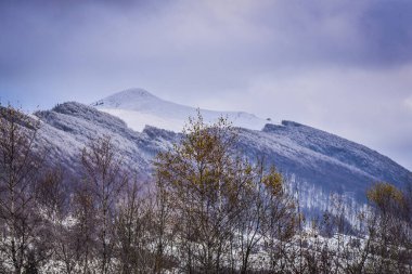 Güz Karpatları 'nın Manzaraları