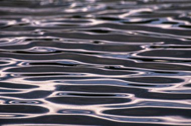 Transcarpathia 'daki Yaz Gölü