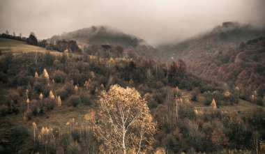 Güz Karpatları 'nın Manzaraları