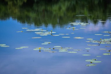 Transcarpathia 'daki Yaz Gölü