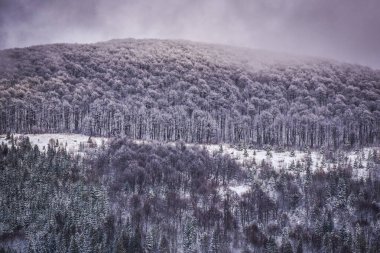 Güz Karpatları 'nın Manzaraları