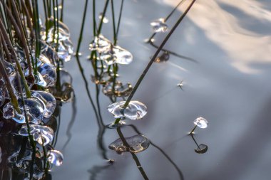 Kışın dağ gölü